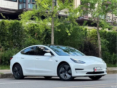 2020 Tesla Model 3 Facelift Long Range Rear-Wheel Drive, фото 3, лот 10351713