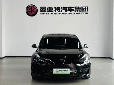 2021 Tesla Model 3 Standard Range Rear-Wheel Drive Upgrade 3D6, фото 3, лот 10954865