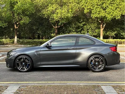 2018 BMW M2, фото 3, лот 10477918
