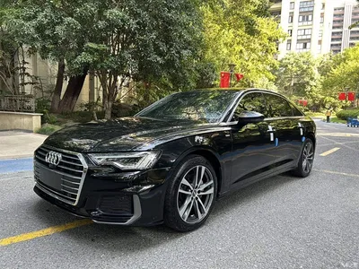 2019 Audi A6L 40 TFSI Luxury Dynamic, фото 3, лот 10769237