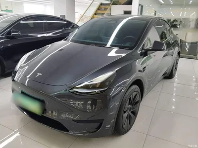 2024 Tesla Model Y Rear-Wheel Drive Version, фото 1, лот 11228051