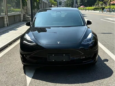 2021 Tesla Model 3 Standard Range Rear-Wheel Drive Upgrade 3D6, фото 2, лот 11565012