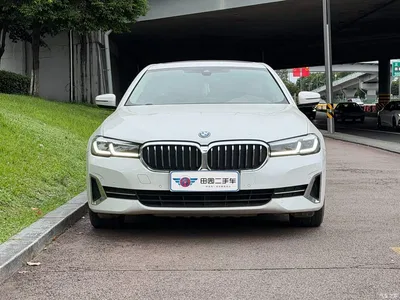 2021 BMW 5 Series New Energy 535Le Luxury Package, фото 2, лот 11213208