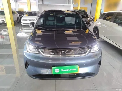 2025 BYD Dolphin Smart Drive Edition 410km Fashion Version, фото 3, лот 11580102