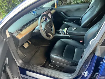 2020 Tesla Model 3 Standard Range Rear-Wheel Drive Upgrade, фото 4, лот 10368932