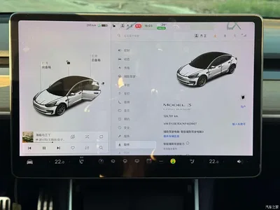 2019 Tesla Model 3 (Import) Long Range RWD Version, фото 4, лот 10355433