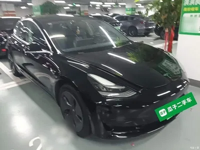 2020 Tesla Model 3 Standard Range Rear-Wheel Drive Upgrade, фото 4, лот 10302549