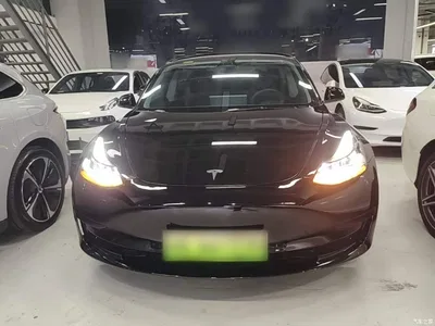 2022 Tesla Model 3 Model Rear-Wheel Drive Version, фото 3, лот 10764095