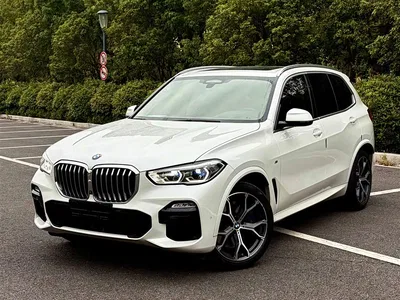2020 BMW X5 (Import) xDrive40i Premium M Sport Package, фото 1, лот 10685077