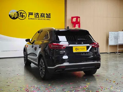2019 Hongqi HS5 2.0T Smart Connect Enjoy 4WD Edition, фото 4, лот 11107109
