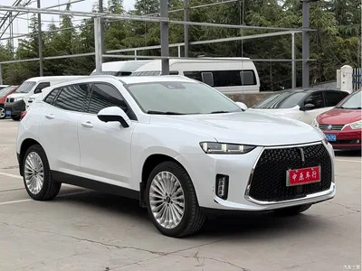 2018 WEY P8 2.0T Flagship Model, фото 3, лот 11152185