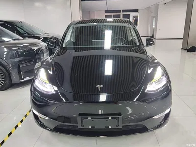 2021 Tesla Model Y Long Range All-Wheel Drive 3D7, фото 3, лот 10455393