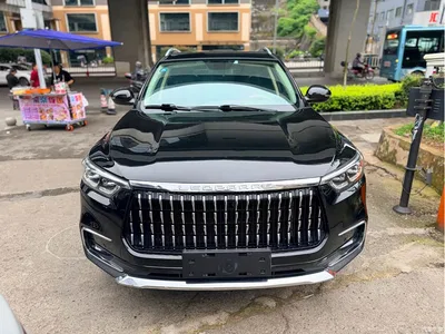 2018 Leopaard Mattu 1.6T GDI DCT Premium Edition, фото 2, лот 11646020