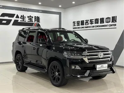 2019 Toyota Land Cruiser (Import), фото 3, лот 10296732
