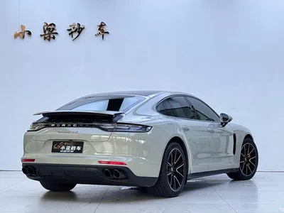 2020 Porsche Panamera, фото 3, лот 10423816