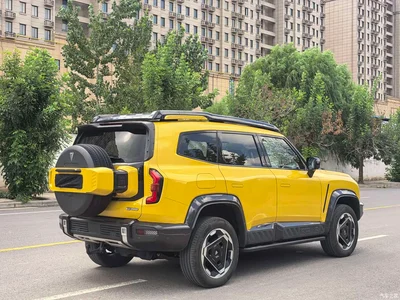 2025 Deepal Deep Blue G318 Worry-Free Cross 4WD Secret Realm Edition, фото 4, лот 11645874