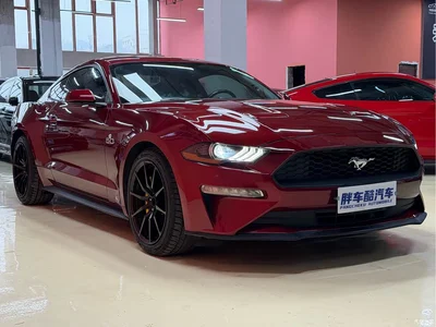 2019 Ford Mustang 2.3L EcoBoost Dark Knight Sport, фото 3, лот 10296071