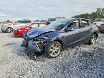 2021 TESLA MODEL Y, фото 1, лот 11589089