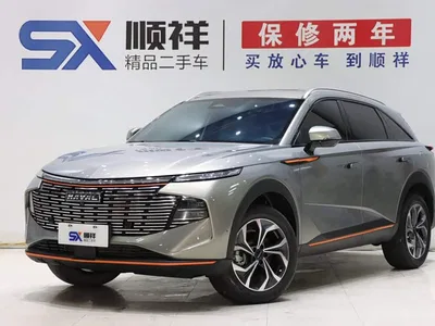 2022 Haval Shenshou 1.5T Intelligent Premium Edition, фото 1, лот 10442582