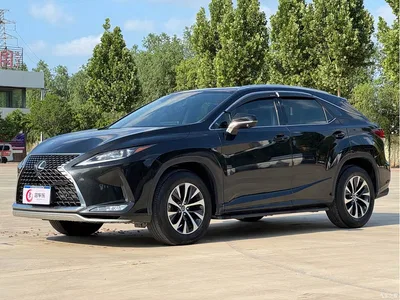 2020 Lexus RX 300 2WD Elite Edition China V, фото 1, лот 10318655