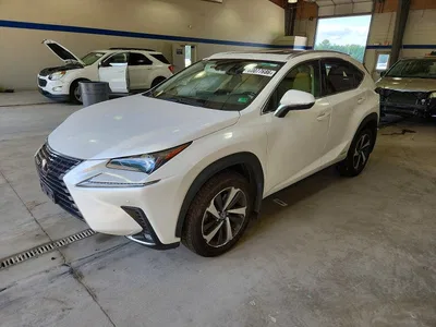 2020 LEXUS NX 300H, фото 1, лот 10848401