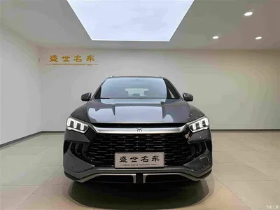 2024 BYD Song Pro New Energy Glory Edition DM-i 71KM Pilot, фото 2, лот 11197760