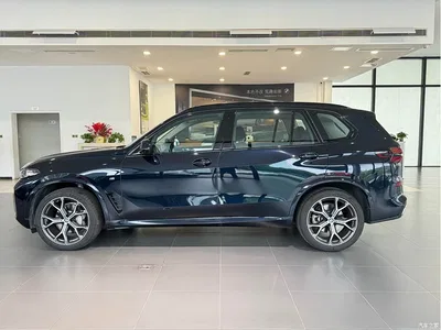 2023 BMW X5 xDrive 30Li Premium M Sport Black Night Package, фото 4, лот 11534411