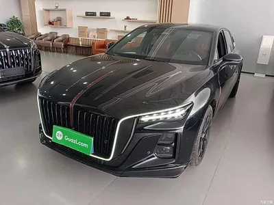 2025 Hongqi H5 2.0T Automatic Mystic Shadow, фото 2, лот 11220003