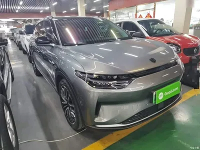 2021 Leapmotor C11 Facelift Luxury Edition, фото 4, лот 10598864