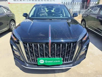 2025 Hongqi HS3 PHEV 125km Jingwei 2 Million Commemorative Edition, фото 3, лот 10360579