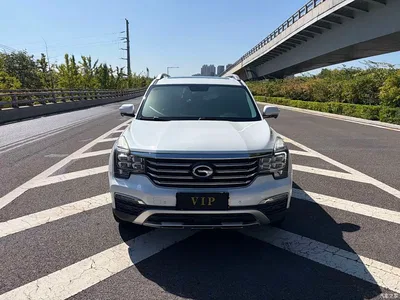 2017 GAC Trumpchi Trumpchi GS8 320T AWD Luxury Smart Connect (7-Seater), фото 2, лот 10414933