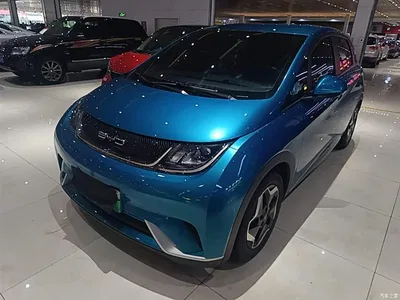 2021 BYD Dolphin 405km Freedom Edition, фото 2, лот 10264397