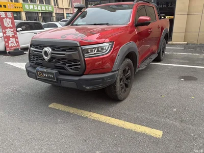 2020 Great Wall Pao 2.0T Off-Road Auto Gasoline 4WD Limited Edition Trailer Version GW4C20B, фото 1, лот 10391650
