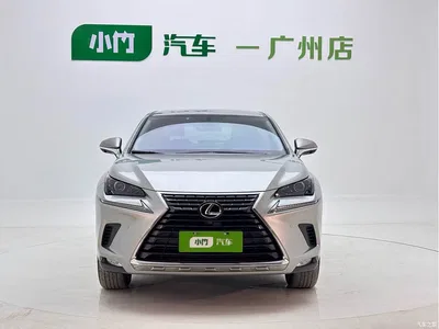 2020 Lexus NX 200 FWD Fengyi Edition China VI, фото 2, лот 11132238