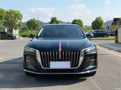 2025 Hongqi H5 2.0T Automatic Flag Celebration 500,000 Units Anniversary Edition, фото 2, лот 10287772