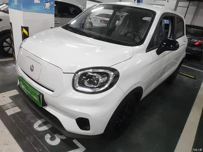 2025 Leapmotor T03 Model 310 Comfort Edition, фото 1, лот 10441584