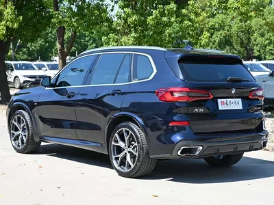2019 BMW X5 (Import) xDrive40i Exclusive M Sport Package, фото 3, лот 11582829