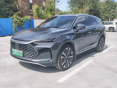 2022 BYD Tang New Energy DM-p 215KM AWD Executive, фото 1, лот 10689101