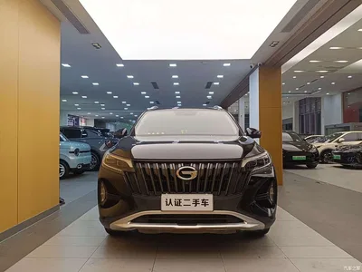 2021 GAC Trumpchi Trumpchi GS4 270T Auto Tech Ultimate, фото 3, лот 10414600
