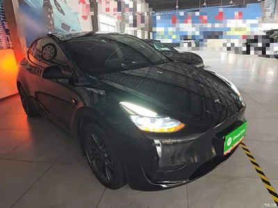 2023 Tesla Model Y Rear-Wheel Drive Edition, фото 4, лот 11502891
