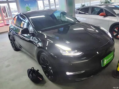 2021 Tesla Model Y Standard Range Rear-Wheel Drive, фото 4, лот 11174650
