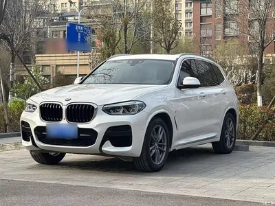 2019 BMW X3 xDrive28i M Sport Package, фото 1, лот 10462077