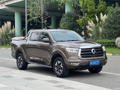 2019 Great Wall Pao 2.0T Automatic Gasoline 4WD Comfort GW4C20B, фото 3, лот 10478658