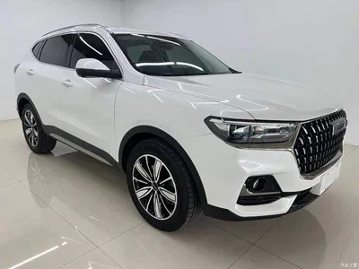 2023 Haval H6 National Trend Edition 1.5T Automatic Champion, фото 3, лот 11423303