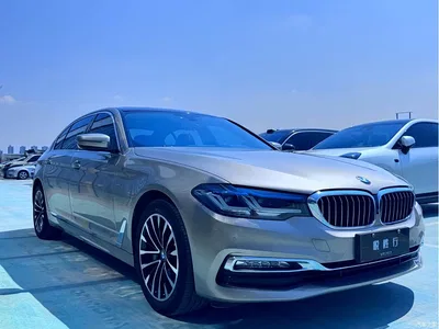 2018 BMW 5 Series Facelift 530Li xDrive Luxury Package, фото 3, лот 10671162