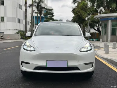 2021 Tesla Model Y Standard Range Rear-Wheel Drive, фото 2, лот 10391689
