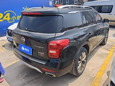 2017 GAC Trumpchi Trumpchi GS8 320T 2WD Luxury Smart Connect (7-seater), фото 3, лот 10416520