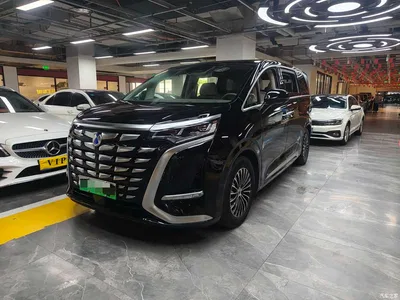 2023 Denza D9 DM-i 965 Premium, фото 1, лот 10350977