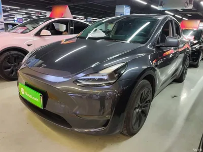 2024 Tesla Model Y Long Range AWD, фото 1, лот 11248428