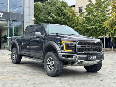 2017 Ford F-150 Raptor 3.5T Raptor Performance Edition, фото 3, лот 10276770